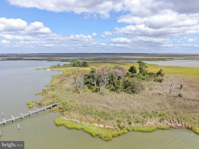 Presenting, Lawson Marsh, Crisfield, Maryland - 1119.42+- acres - photo 5