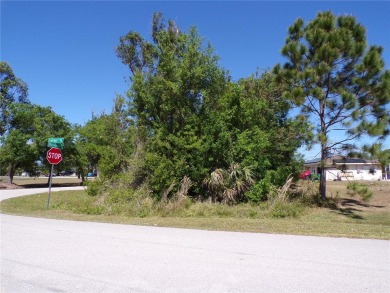 This Corner lot is on a quiet street that would be a great place - photo 8