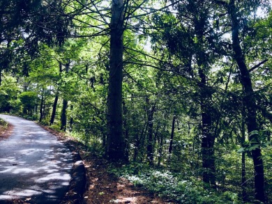 (private lake, pond, creek) Lot For Sale in Chatham Massachusetts