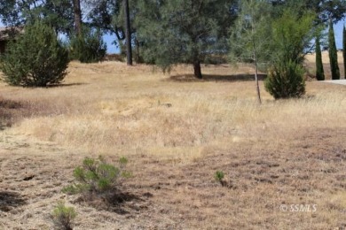 Lake Lot For Sale in Wofford Heights, California