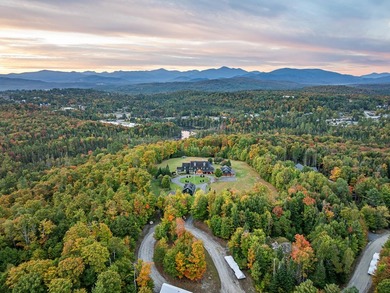 Set on 4.8 level acres w manicured lawns, this remarkable - photo 10