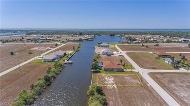 Prime Gulf access canal-front lot on the Eastover Canal with - photo 4