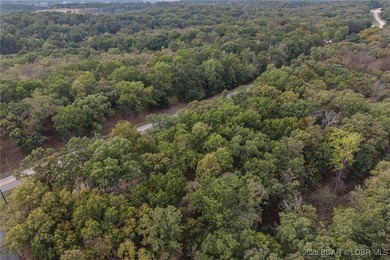 Nice and level building lot off of Shawnee Bend Rd. Power - photo 11