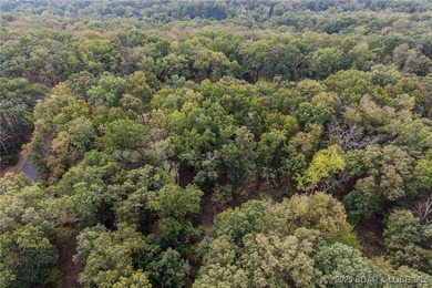 Nice and level building lot off of Shawnee Bend Rd. Power - photo 12