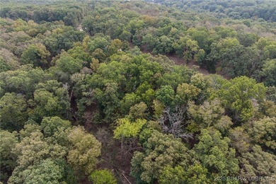 Nice and level building lot off of Shawnee Bend Rd. Power - photo 13