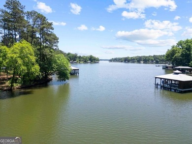 AMAZING VALUE ON LAKE SINCLAIR! STUNNING LOT - HUGE VIEWS! This - photo 3