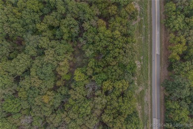 Nice and level building lot off of Shawnee Bend Rd. Power - photo 14