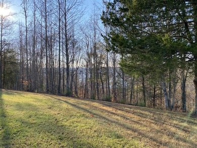 Discover the perfect blend of privacy, scenery, and opportunity - photo 14