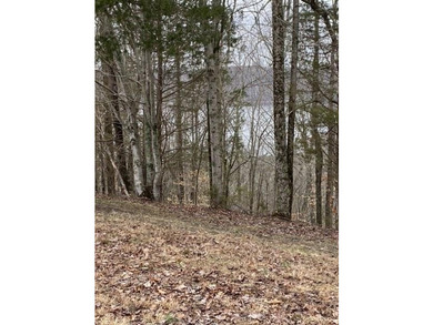 Discover the perfect blend of privacy, scenery, and opportunity - photo 15