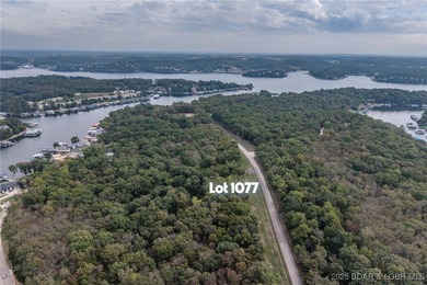 Nice and level building lot off of Shawnee Bend Rd. Power - photo 16