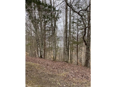 Discover the perfect blend of privacy, scenery, and opportunity - photo 16