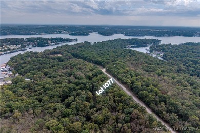 Nice and level building lot off of Shawnee Bend Rd. Power - photo 17