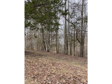 Discover the perfect blend of privacy, scenery, and opportunity - photo 17