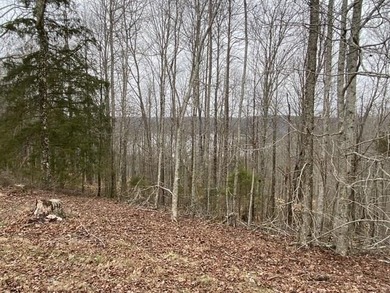 Discover the perfect blend of privacy, scenery, and opportunity - photo 18