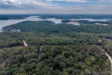 Nice and level building lot off of Shawnee Bend Rd. Power - photo 19
