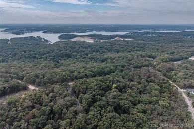 Nice and level building lot off of Shawnee Bend Rd. Power - photo 20