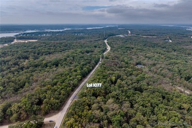 Nice and level building lot off of Shawnee Bend Rd. Power - photo 22
