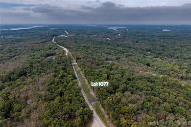 Nice and level building lot off of Shawnee Bend Rd. Power - photo 23