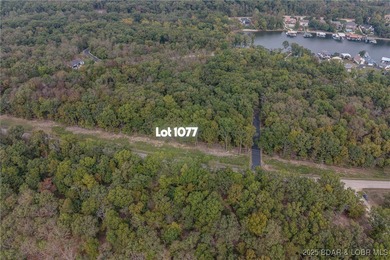 Nice and level building lot off of Shawnee Bend Rd. Power - photo 25