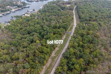 Nice and level building lot off of Shawnee Bend Rd. Power - photo 26