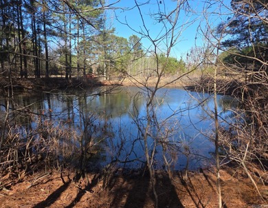 Ouachita River Home For Sale in Malvern Arkansas