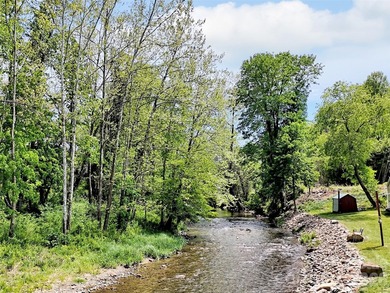 Enjoy the rare opportunity to own a beautiful mountain - photo 41