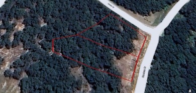 Lake Lot For Sale in Nocona, Texas