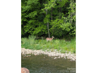 Enjoy the rare opportunity to own a beautiful mountain - photo 42