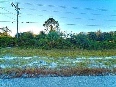 Lehigh Acres Area Lot For Sale in Lehigh Acres Florida
