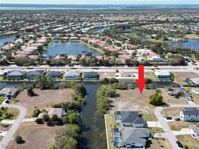 Build your dream home or invest in one of Cape Coral's most - photo 5