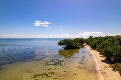 OCEANFRONT ACREAGE IN HEART OF ISLAMORADA! Discover a unique - photo 1