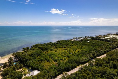 OCEANFRONT ACREAGE IN HEART OF ISLAMORADA! Discover a unique - photo 2