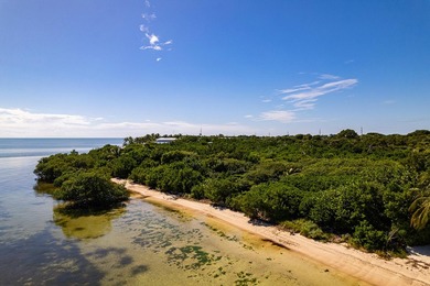 OCEANFRONT ACREAGE IN HEART OF ISLAMORADA! Discover a unique - photo 4