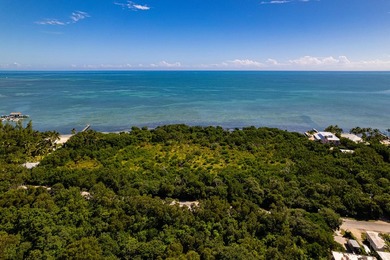 OCEANFRONT ACREAGE IN HEART OF ISLAMORADA! Discover a unique - photo 5