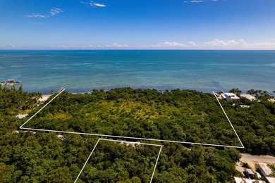 OCEANFRONT ACREAGE IN HEART OF ISLAMORADA! Discover a unique - photo 6