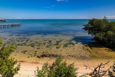 OCEANFRONT ACREAGE IN HEART OF ISLAMORADA! Discover a unique - photo 7