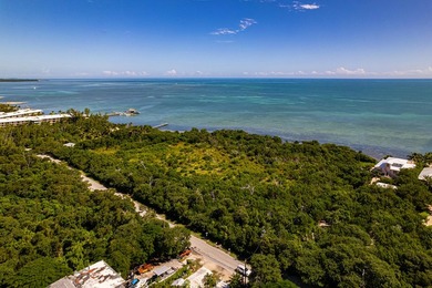 OCEANFRONT ACREAGE IN HEART OF ISLAMORADA! Discover a unique - photo 8