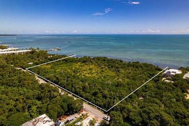 OCEANFRONT ACREAGE IN HEART OF ISLAMORADA! Discover a unique - photo 9