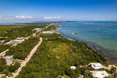 OCEANFRONT ACREAGE IN HEART OF ISLAMORADA! Discover a unique - photo 10