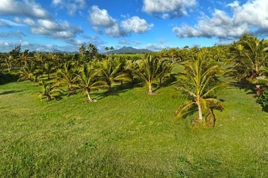 An incredible opportunity to own 6.58 acres of premier bluff-top - photo 11