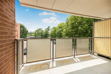 Welcome to 372 Central Park Avenue, Unit 2A! This beautifully - photo 11