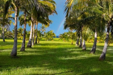 An incredible opportunity to own 6.58 acres of premier bluff-top - photo 12