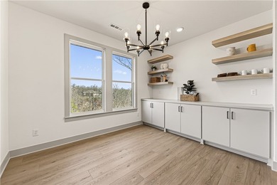 Stunning modern luxury new construction with breathtaking Ozark - photo 15