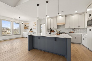 Stunning modern luxury new construction with breathtaking Ozark - photo 18