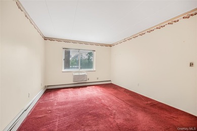 Welcome to 372 Central Park Avenue, Unit 2A! This beautifully - photo 19