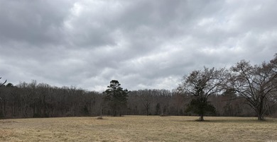 (private lake, pond, creek) Acreage For Sale in Greenbrier Arkansas