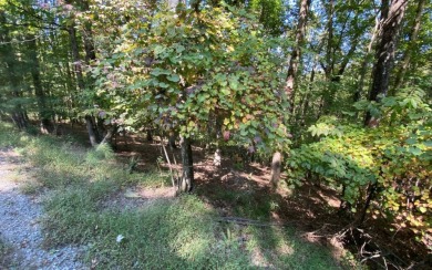 Lake Lot For Sale in Ellijay, Georgia