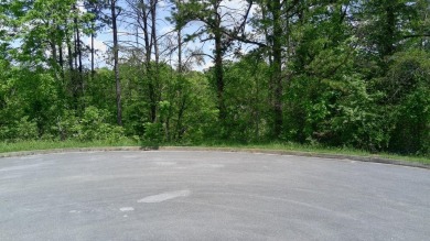 Douglas Lake Lot For Sale in Dandridge Tennessee