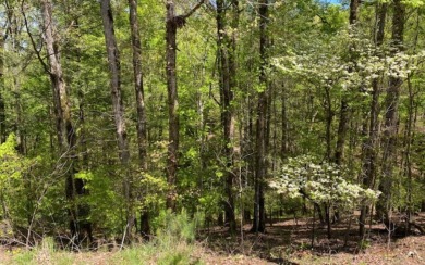 Carters Lake Lot For Sale in Ellijay Georgia