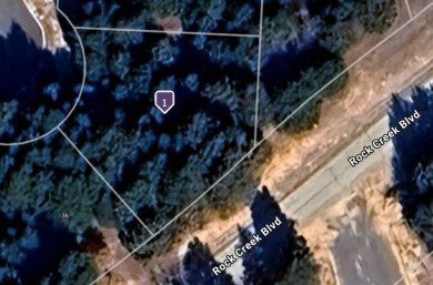 Lake Lot For Sale in Gordonville, Texas